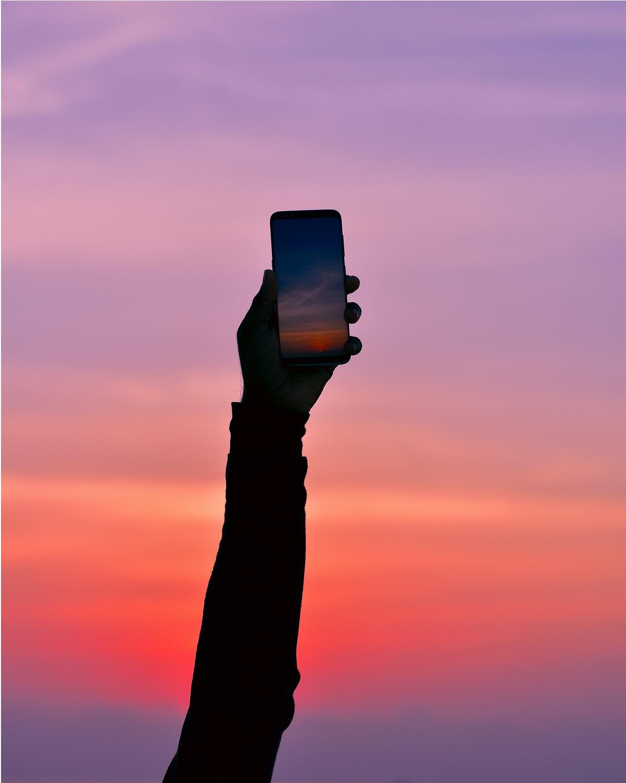 Manutenção WordPress